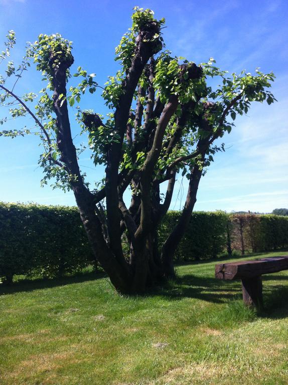 Agriturismo Morgan มอนเตเบลลูนา ภายนอก รูปภาพ
