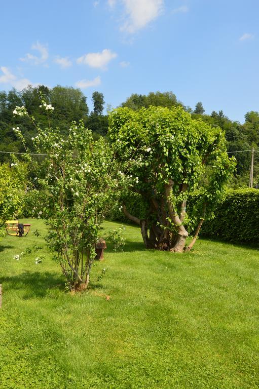 Agriturismo Morgan มอนเตเบลลูนา ภายนอก รูปภาพ