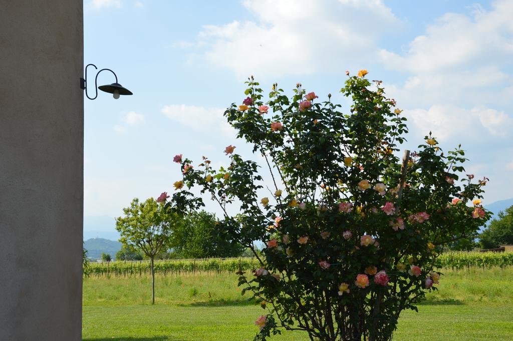Agriturismo Morgan มอนเตเบลลูนา ภายนอก รูปภาพ